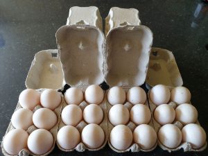 Read more about the article Fresh Duck Eggs – Available now for collection or local delivery from Cranford Farm.