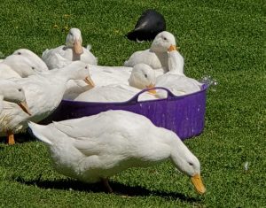 Read more about the article Meet some of the girls and boys