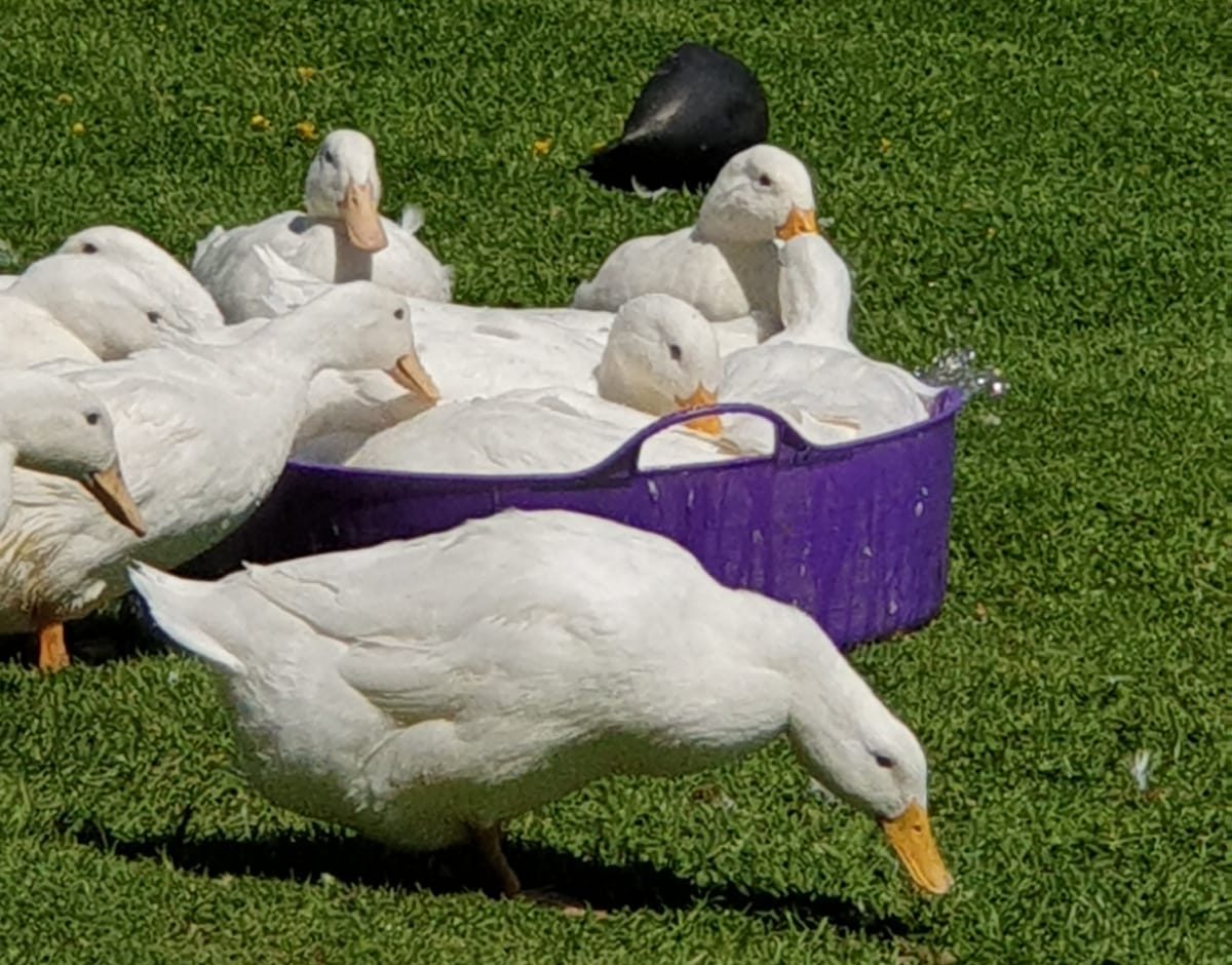 You are currently viewing Meet some of the girls and boys