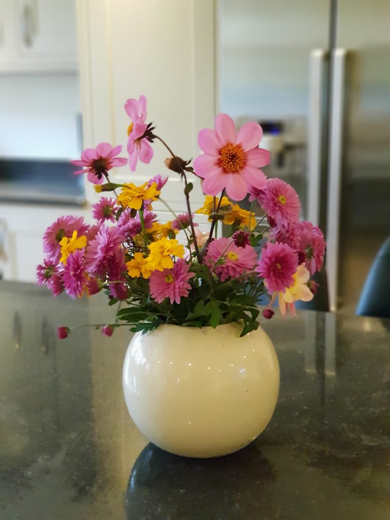 Cranford Farm – Cut Flowers – Overview
