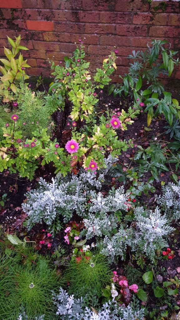 This image has an empty alt attribute; its file name is IMG-20191016-WA0000-576x1024.jpg