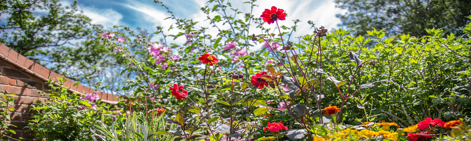 You are currently viewing Cranford Farm – Grow Your Own Garden Series