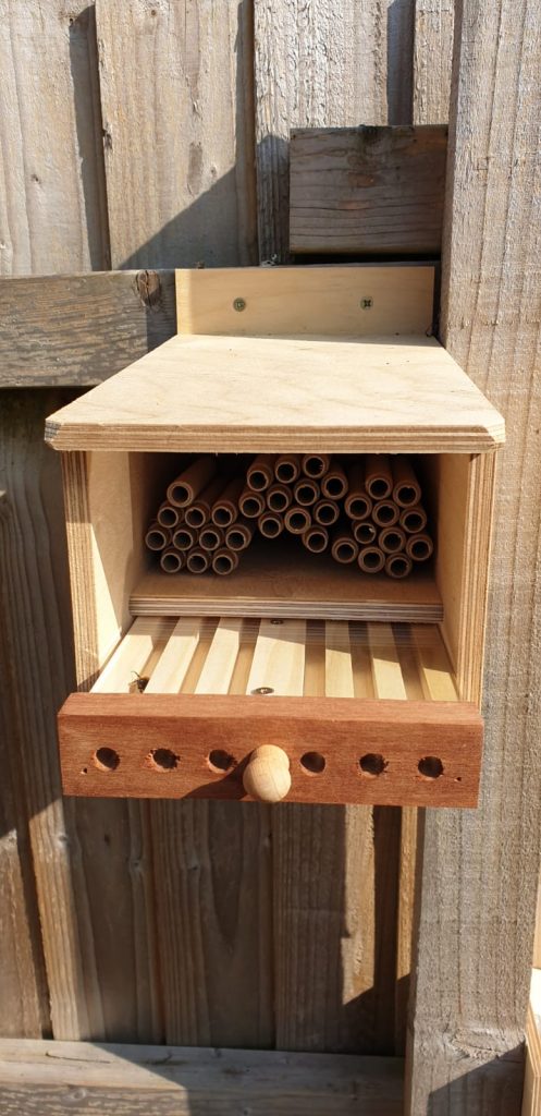 Mason Bees hotel