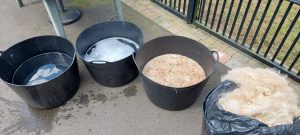 Read more about the article Alpaca Fleece